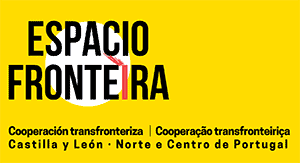 logo-espacio-fronteira-amarillo